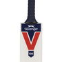 V100 Junior Cricket Bat