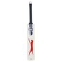 V100 Junior Cricket Bat