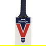 V100 Junior Cricket Bat