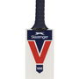 V100 Junior Cricket Bat