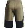 2.0 Shorts