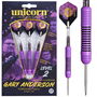 Level 2 Gary Anderson Rubberised Brass Darts 24g