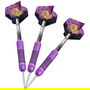 Level 2 Gary Anderson Rubberised Brass Darts 24g