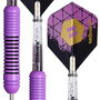Level 2 Gary Anderson Rubberised Brass Darts 24g