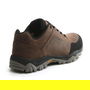 Cascade Low Walking Shoes