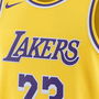 LA Lakers LeBron James NBA Icon Edition Swingman Jersey