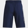 Armour UA Tech™ Woven Wordmark Shorts Boys