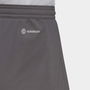 Entrada 22 Shorts Mens