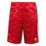 Football Celebration Shorts