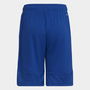 Sereno Training Shorts Juniors