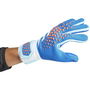 Predator League Goalkeeper Gloves 41