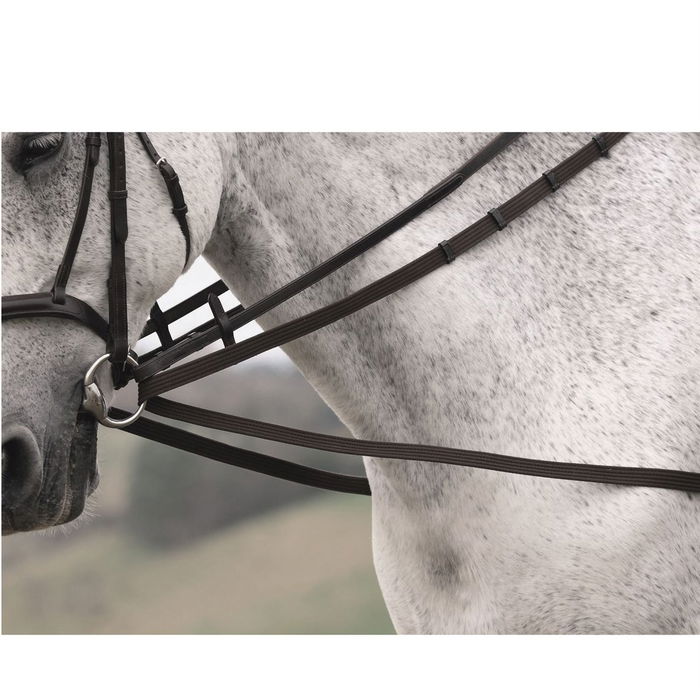 Web Draw Reins