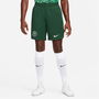 Nigeria Home Shorts 2022 2023 Adults
