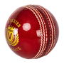 League Cricket Ball