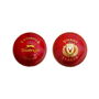 League Cricket Ball