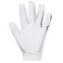Armour UA Iso Chill Golf Glove Mens