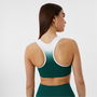 Ombre Sports Bra