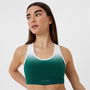 Ombre Sports Bra