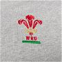 Wales RWC 2023 L/S Supporters Rugby Shirt Mens