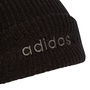 Classic Beanie Mens