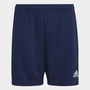 ENT22 Training Shorts Juniors