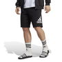 Big Logo French Terry Shorts Mens