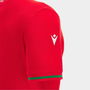 Wales RWC 2023 Supporters Mens Rugby Polo Shirt