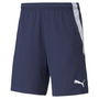 LIGA Shorts Mens