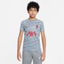 Liverpool Pre Match Shirt Juniors 2023 2024