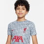 Liverpool Pre Match Shirt Juniors 2023 2024