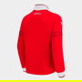 Wales RWC 2023 Kids Hoodie