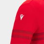 Wales RWC 2023 Kids Hoodie
