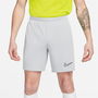 Dri FIT Academy Mens Soccer Shorts