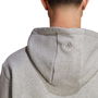 ALL SZN Fleece Graphic Hoodie Mens