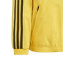 Jamaica Anthem Jacket 2023 Juniors