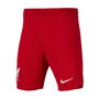 Liverpool Home Shorts 2023 2024 Juniors