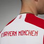 FC Bayern Authentic Kit 2023 2024 Adults