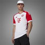 FC Bayern Authentic Kit 2023 2024 Adults