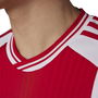 Ajax Amsterdam Home 2023 2024 Jersey Adults