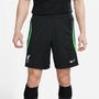 Liverpool Strike Shorts 2023 2024 Adults