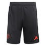 Manchester United Training Shorts 2023 2024 Adults