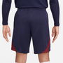 Paris Saint Germain Strike Shorts 2023 2024 Adults