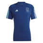 Ajax Training Shirt 2023 2024 Adults