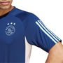 Ajax Training Shirt 2023 2024 Adults