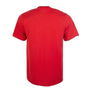 Liverpool Swoosh T Shirt Adults