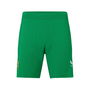 Ireland Home Short Senior 2023