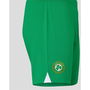 Ireland Home Short Senior 2023