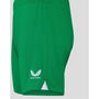 Ireland Home Short Senior 2023