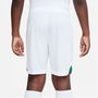 Nigeria Home Match Shorts 2022 Juniors