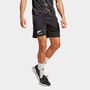 New Zealand All Blacks 2023 Gym Shorts Mens